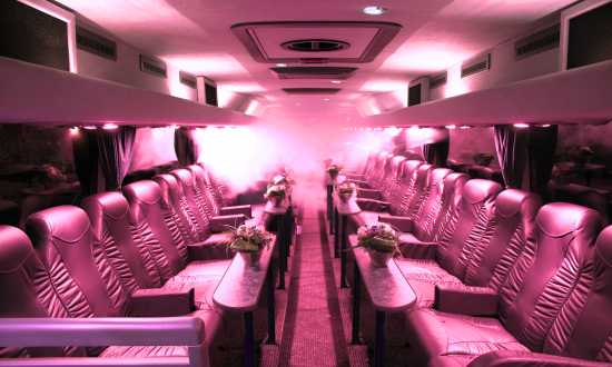 Harderwijk partybus