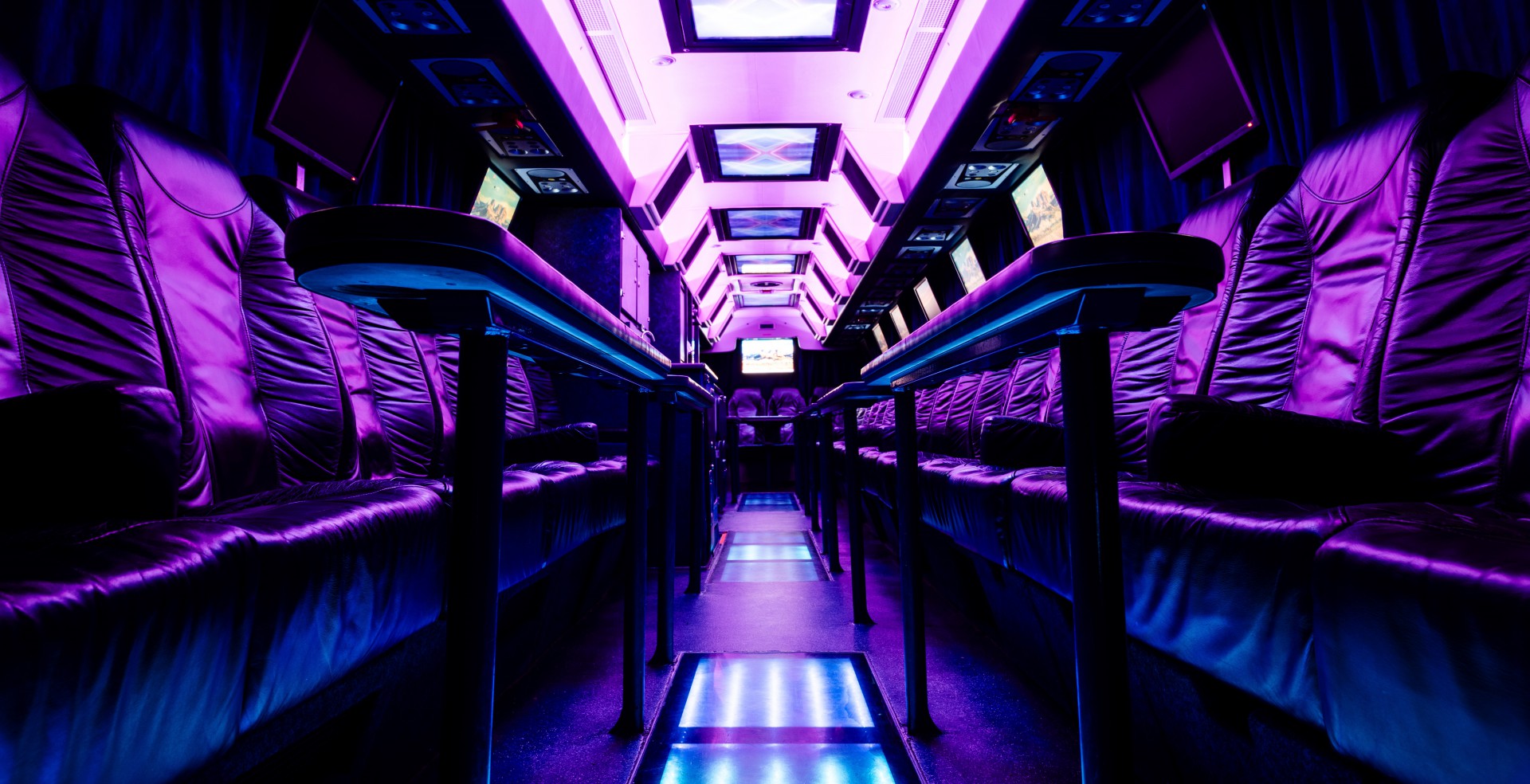 partybus the experince