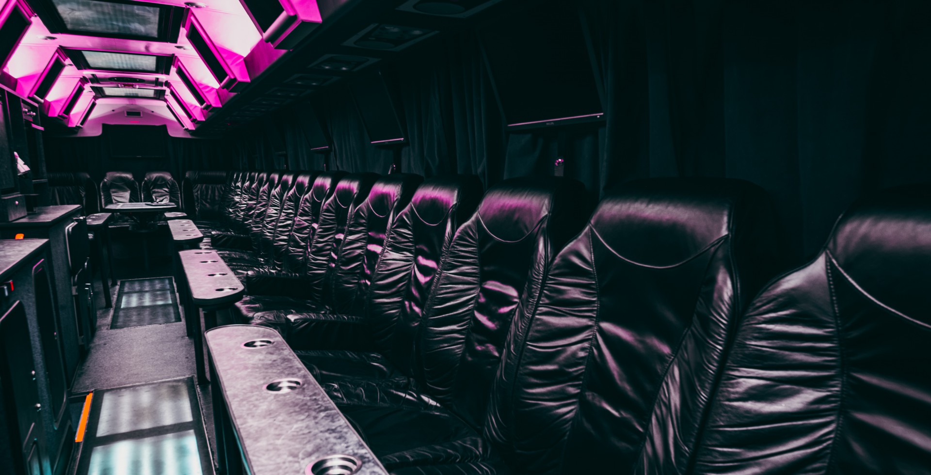 partybus the experience